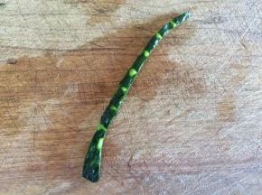 均匀划上几刀，做出竹子的样子