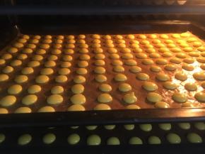 烤箱预热，挤入烤盘上火100度、下火90度，70分钟