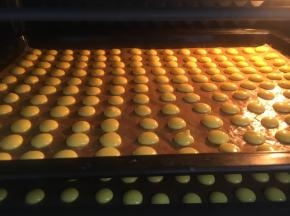 烤箱预热，挤入烤盘上火100度、下火90度，70分钟