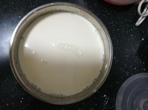 放入酸奶机里，盖好盖子。