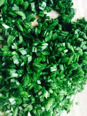 控水后的韭菜切小。