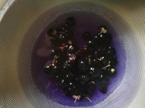 准备一个碗，一个滤网，将枸杞放在滤网中，到水，搅拌，静置10分钟