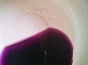 看，剩下的，底部细沙