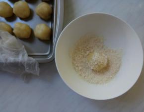 在椰蓉里打个滚。