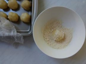 在椰蓉里打个滚。