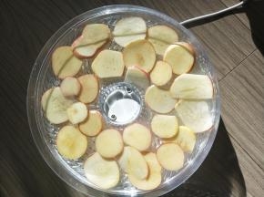 将切好的苹果片放在食品烘干机上