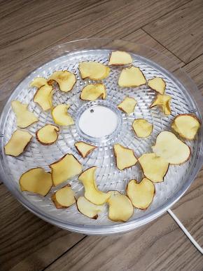 时间到了拔掉电源，烤好的苹果干放在密封盒里。