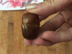 打好十字的栗子如图