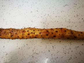 铁棍山药洗净，外皮很多泥，不要偷懒，一定要洗干净擦干