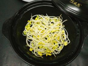 取一个浅砂锅，砂锅保温性比普通的碗来的好，豆芽分两次放，先拿一半垫底下