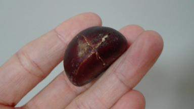 用剪刀剪出十字花（我觉得比用刀好用哦）