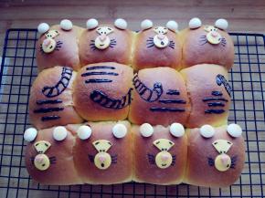 用巧克力画出眼睛、眉毛和胡须，再画出身上的斑纹和尾巴即可