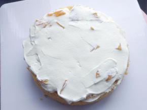 再涂一层淡奶油，抹平后盖上上面一片蛋糕胚，并用淡奶油抹平四周及顶部