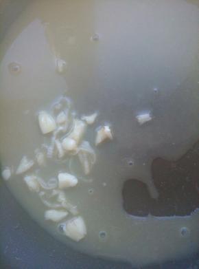 热锅热油，爆香蒜碎后，高汤在锅中加少许水烧热，加少许盐和蚝油调匀