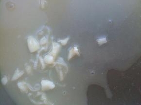 热锅热油，爆香蒜碎后，高汤在锅中加少许水烧热，加少许盐和蚝油调匀