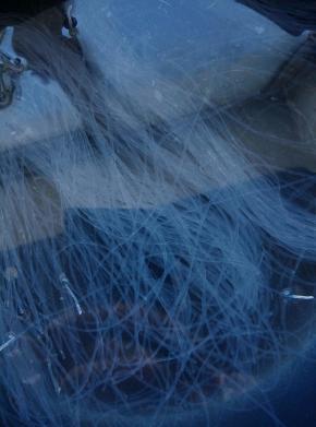 粉丝用少许冷水泡软备用