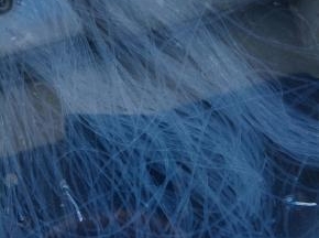 粉丝用少许冷水泡软备用