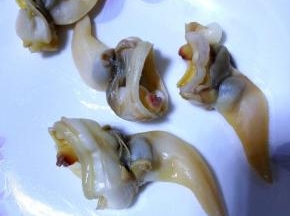 煮熟的蚬子立刻倒出晾凉。原汤从上层舀两勺，放入锅中加水煮沸。另外把蚬子肉从壳中扒出，翻开在剩余的原汤中涮几下。因为内层很容易藏细沙，如果这样涮洗一下，吃的时候恐怕会牙碜。用原汤涮，不会损失鲜味