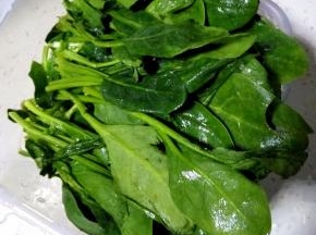 煮蚬子的同时，菠菜洗净，焯水，挤去水分，切段备用
