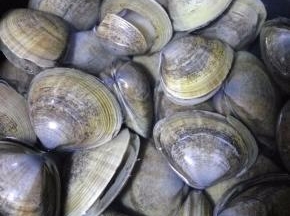 冷水入锅，水沸后再煮两三分钟