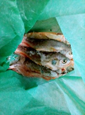 清理干净的小黄鱼