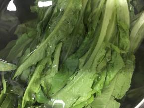 油麦菜用水泡30分钟