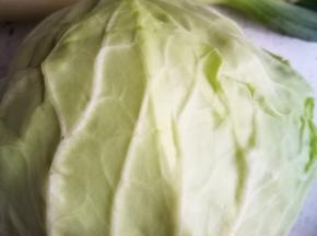 大葱和包菜