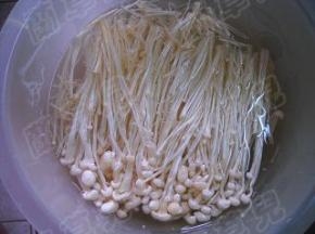 金针菇去根部、洗净，用开水略焯一会捞起，沥干水分。