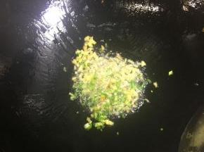 锅里加油再次f烧热，倒入葱，姜炒出香味。