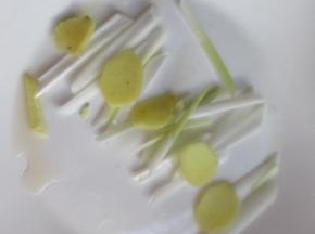 盘子里放入葱姜铺底。