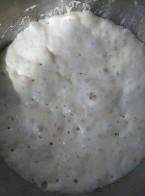 把波兰种所需的材料和成面团进行发酵，大概放置12小时以上冬天室温发酵，夏天放冰箱里冷藏发酵