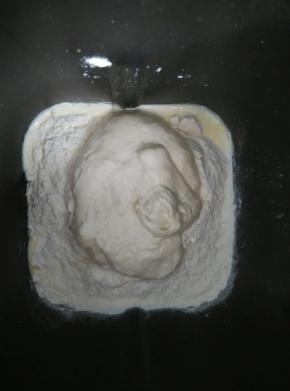 把主面团的材料放入面包机内，按照先液体后固体的原则，最后加入波兰种。启动和面程序揉成光滑的面团