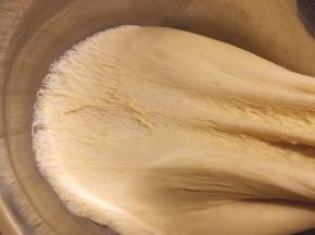 这样的状态就是发酵好了