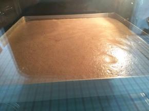 振盘3次后，放入预热好的烤箱，中下层，烘烤20分钟左右