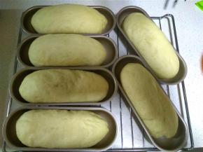 放入烤箱内进行第二次发酵，在烤盘下放一碗热水。面团发至基本填满模具，完成第二次发酵