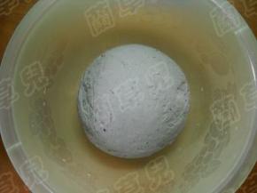 和好，成光滑面团；置温暖处发酵。