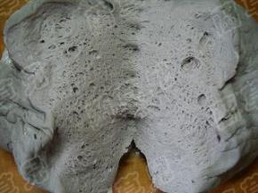 发好的面团，组织松软呈蜂窝状。