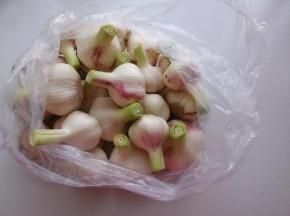 新鲜的大蒜，30头，3斤半。