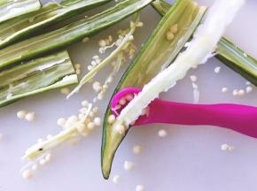 用小勺子把籽挖出来