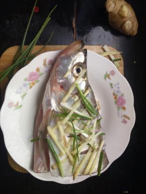 用盐把鱼各处都抹一下！生姜切丝，葱切段，摆在鱼身上，为了去腥，鱼肚子里也摆点姜丝葱段！