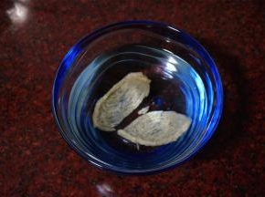 燕窝先用温水浸泡湿润。