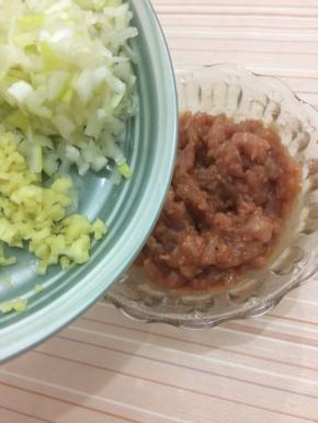 在将葱、姜加入