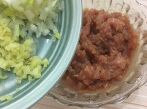 在将葱、姜加入