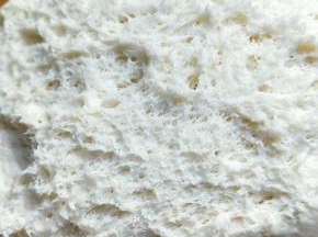 发酵好的面团全部是蜂窝眼。