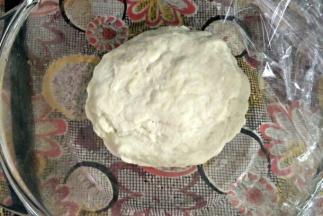 中种材料全部混合揉成团，不用揉的太光滑，揉成团即可。 包上保鲜膜室温发酵两倍大，也可以放冰箱冷藏发酵