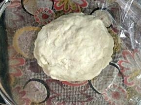 中种材料全部混合揉成团，不用揉的太光滑，揉成团即可。 包上保鲜膜室温发酵两倍大，也可以放冰箱冷藏发酵