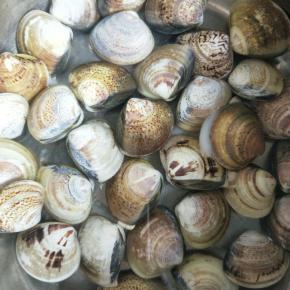 将蛤蜊放在淡盐水中浸泡半日，使其吐尽泥沙