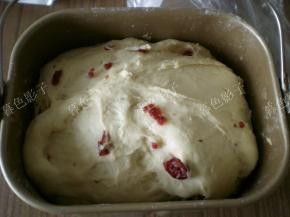 面包机揉面结束直接盖个保鲜膜发酵