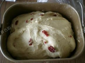 面包机揉面结束直接盖个保鲜膜发酵