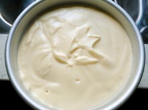 将蛋糕糊倒入模具，用力震几下